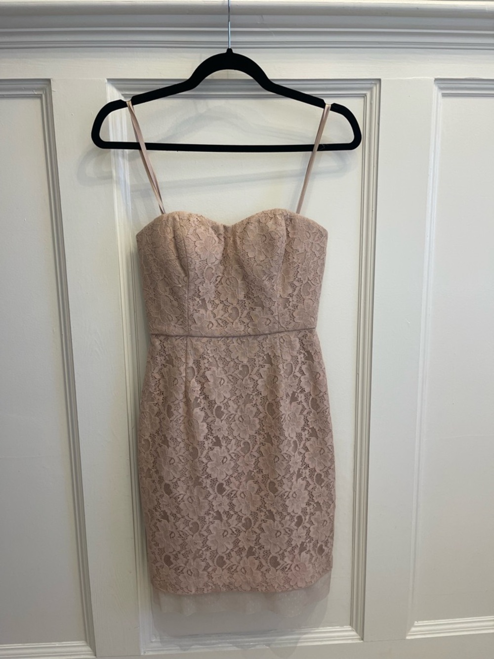 BCBGMaxAzria Blush Lace Strapless Sheath Dress
